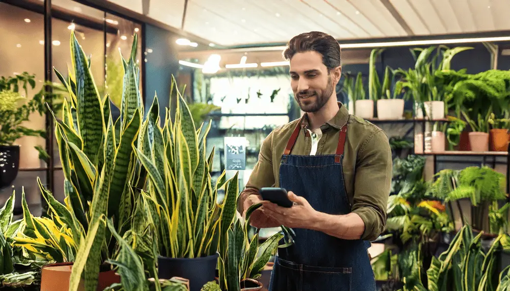 A plant shop with snake plants for sale, alongside a phone displaying an online plant store.